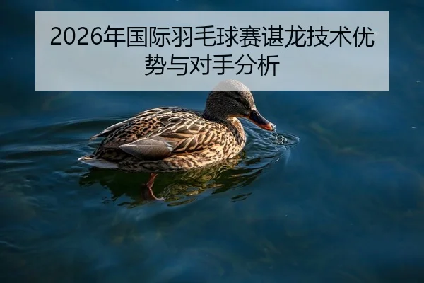 2026年国际羽毛球赛谌龙技术优势与对手分析